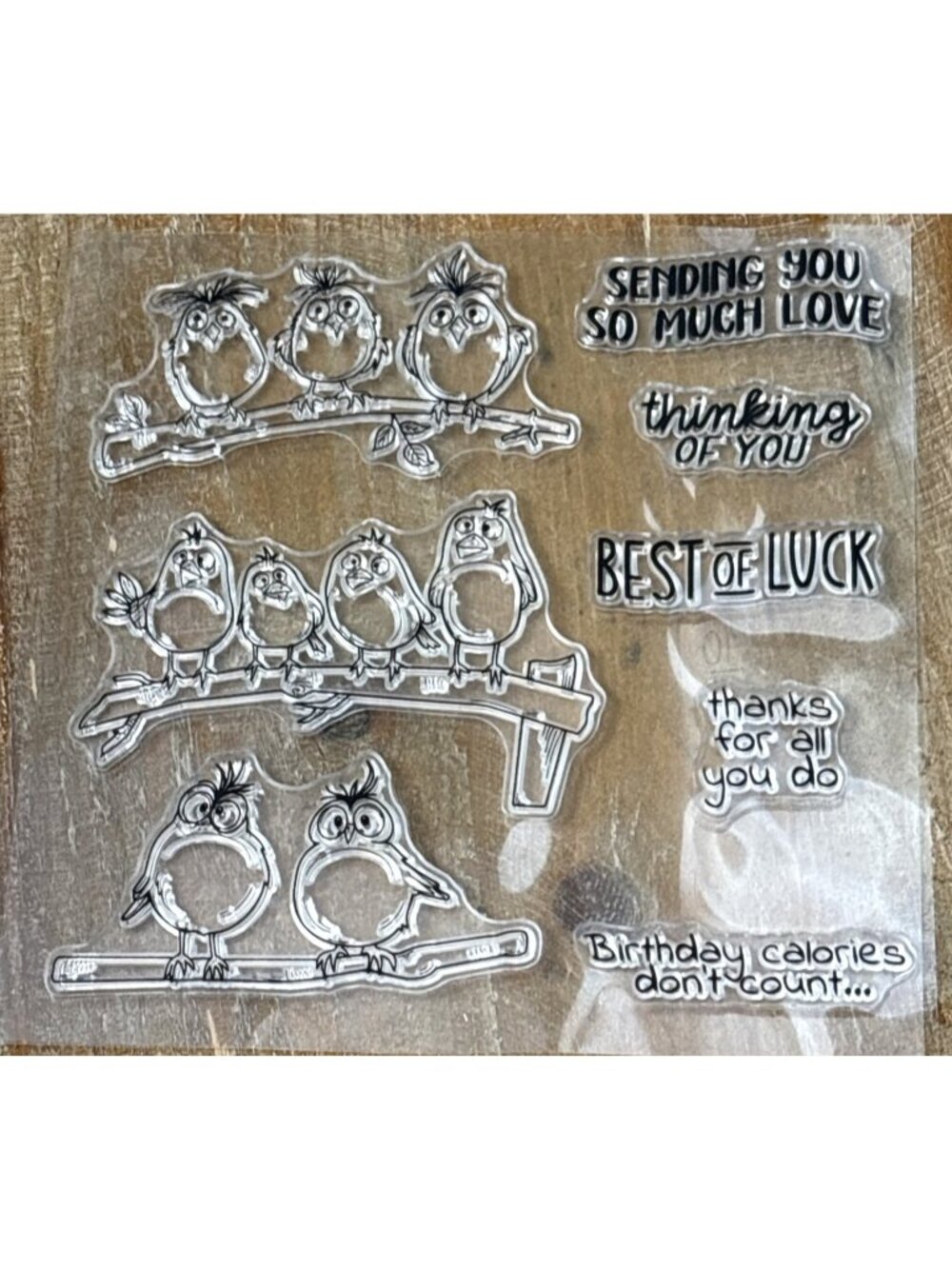 Birds On A Branch Rubber Clear Stamp Sheet -Card Making Supplies 8 Pieces NEW